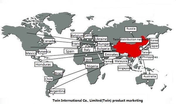 Twin enterprise development prospects Twin enterprise development prospects